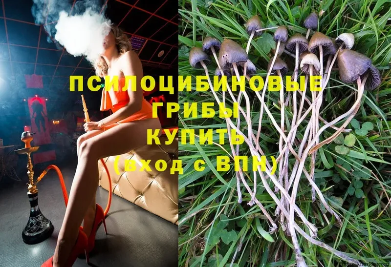 Псилоцибиновые грибы MAGIC MUSHROOMS  Верхотурье 